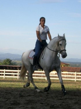 Equitazione PRE asd - Cascina Giardino