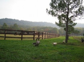 I paddock - Cascina Giardino